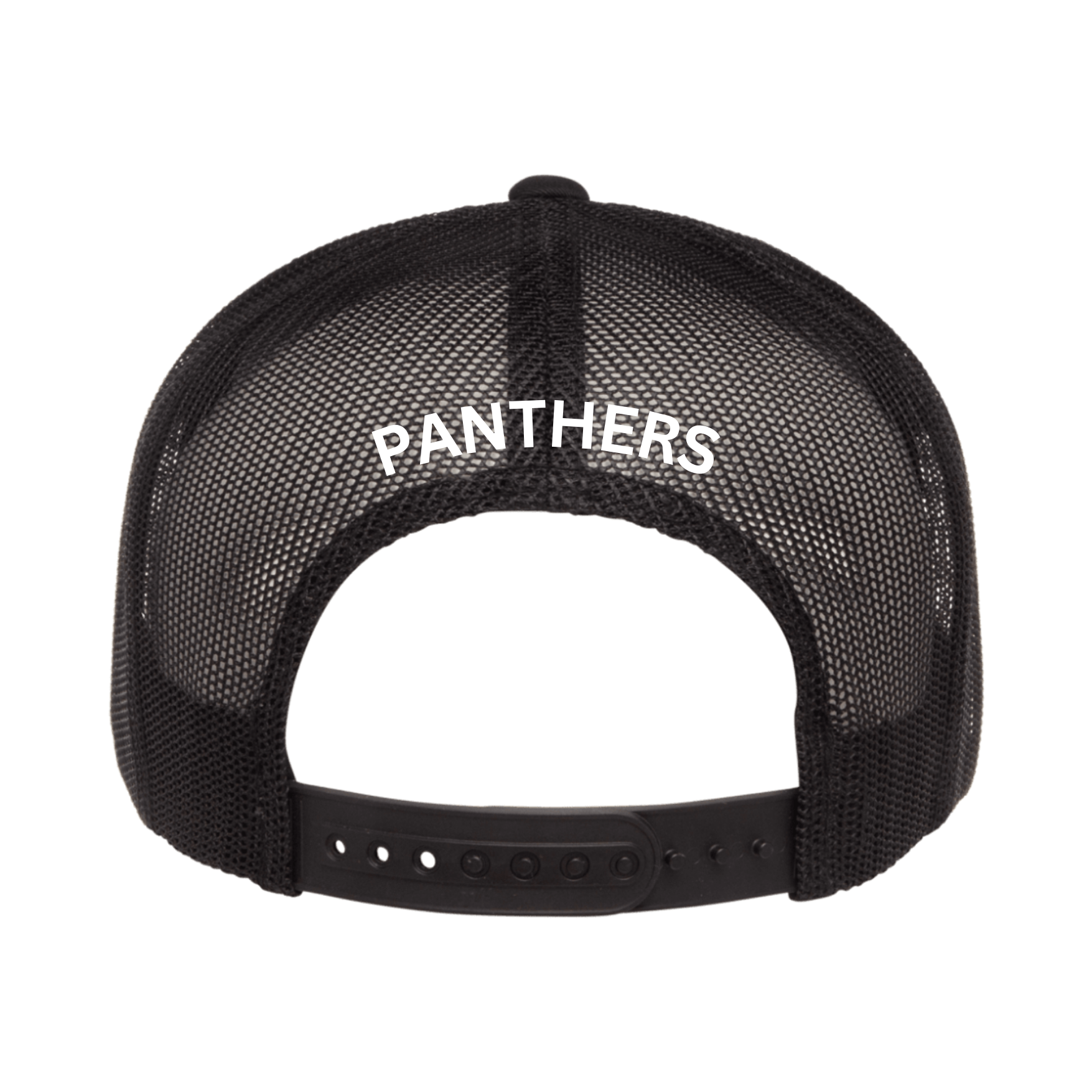 Panthers: Cap