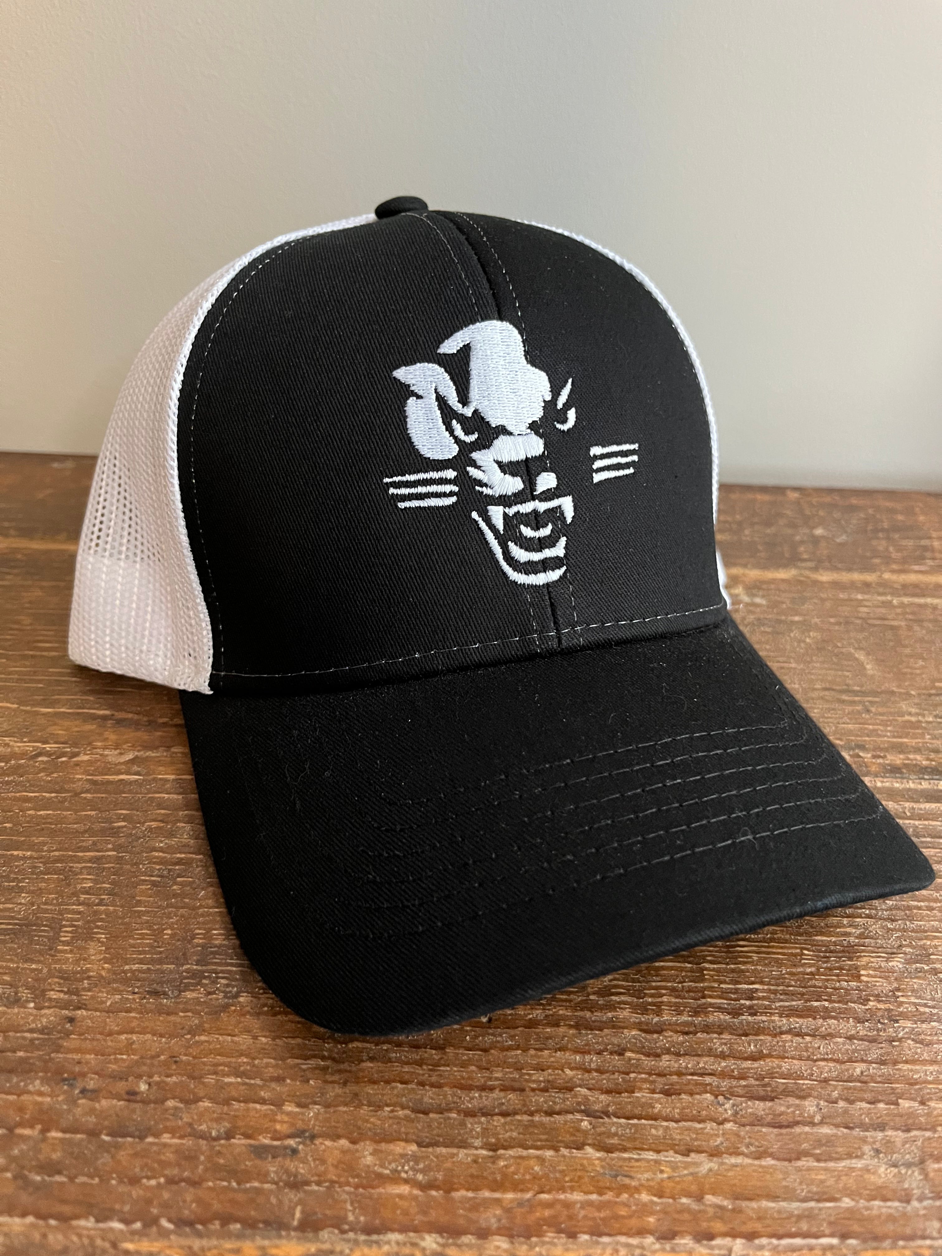 This is the front of the Panthers ball cap in black.
