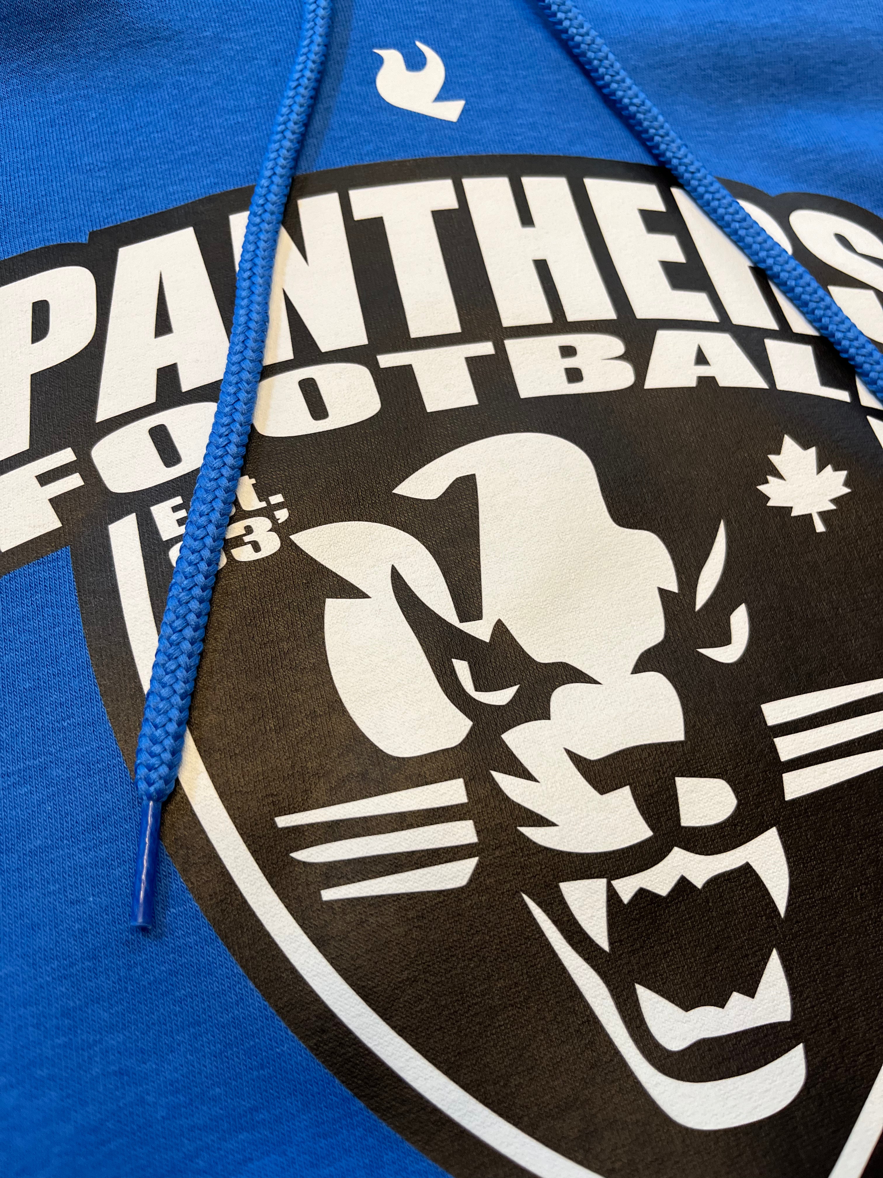 Sweat à capuche Panthers Est. 93&