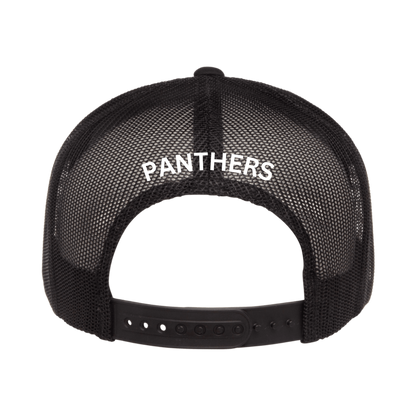 2024 Panthers Varsity Cap