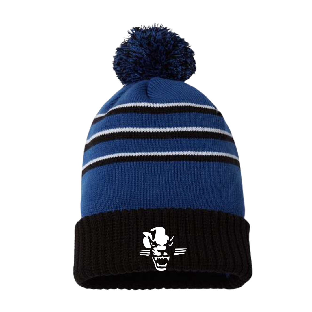 (NEW) Panthers Football Toque