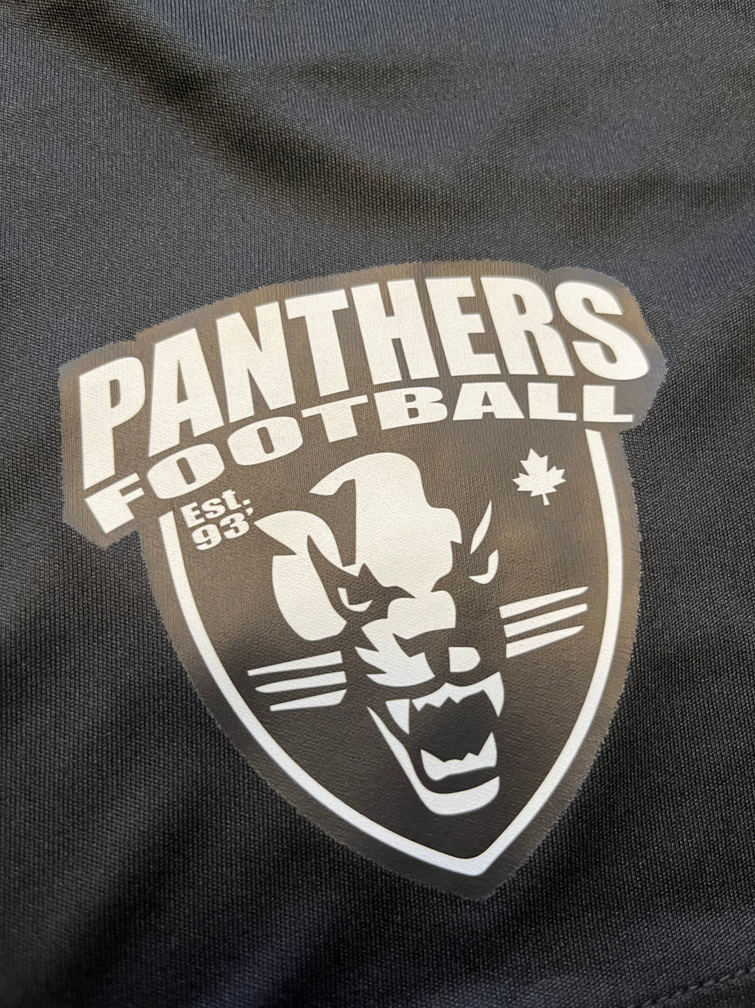 Youth Panthers Team Shorts